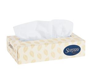 Facial Tissues 2Ply 100pk (48/Ctn)