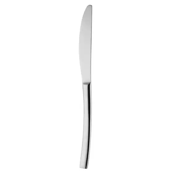 Brisbane Table Knife S/S Mirror Polish Solid Handle